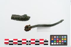 Foto von Bronzemelonenarmreif (NHMW-PRAE-023912)